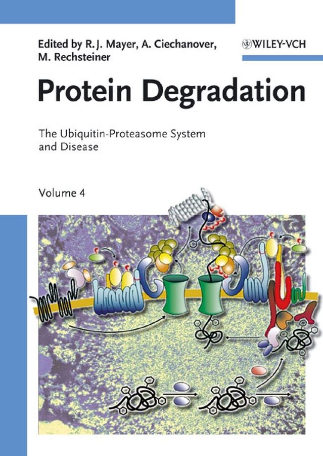Protein Degradation. Vol.4