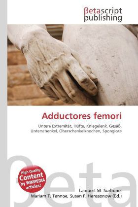 Adductores femori