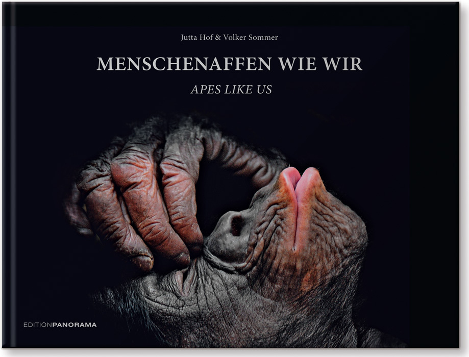 Menschenaffen wie wir. Apes Like Us