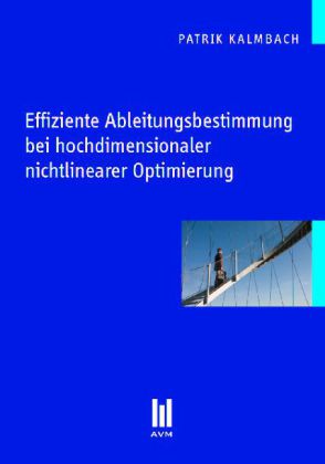 Effiziente Ableitungsbestimmung bei hochdimensionaler nichtlinearer Optimierung
