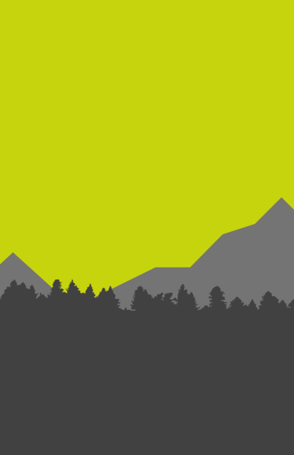 Schweißen im Anlagen- und Behälterbau 2013