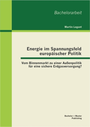 Energie im Spannungsfeld europäischer Politik