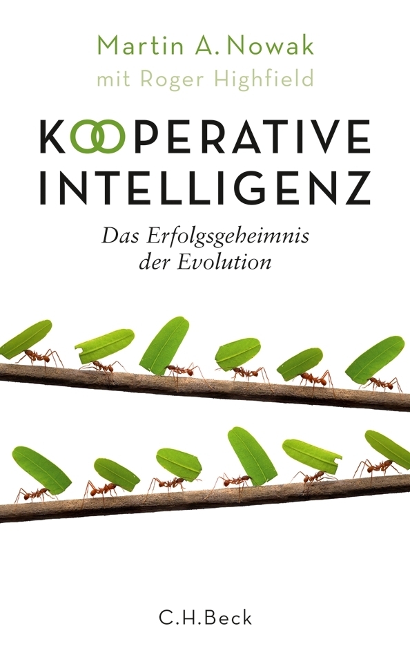 Kooperative Intelligenz