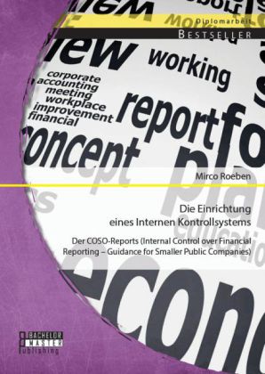 Die Einrichtung eines Internen Kontrollsystems: Der COSO-Reports (Internal Control over Financial Reporting Guidance for Smaller Public Companies)