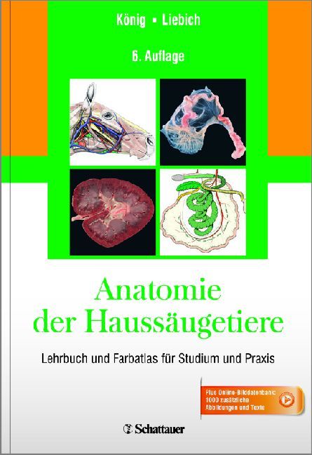 Anatomie der Haussäugetiere