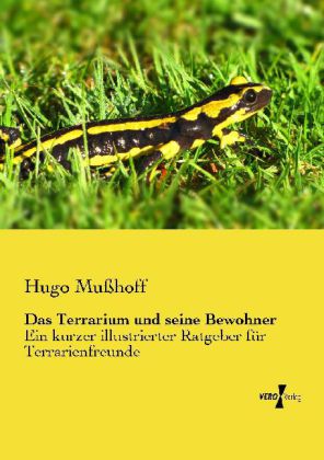 Das Terrarium und seine Bewohner