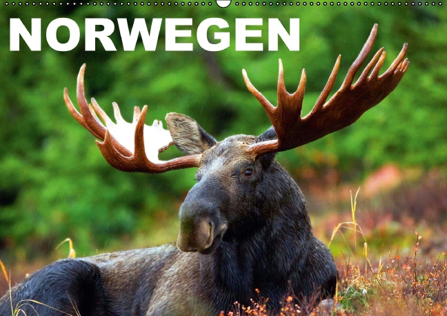 Norwegen (Wandkalender 2016 DIN A2 quer)