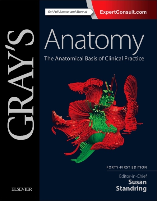 Gray's Anatomy