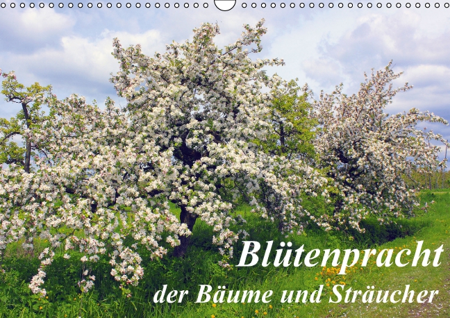 Blütezeit der Bäume und Sträucher (Wandkalender 2016 DIN A3 quer)