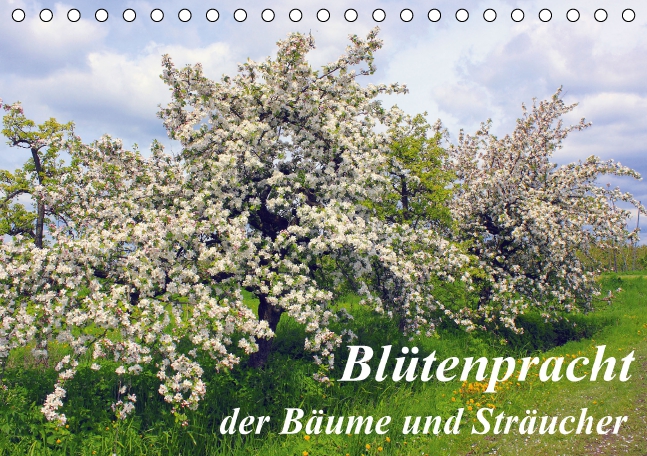 Blütezeit der Bäume und Sträucher (Tischkalender 2016 DIN A5 quer)