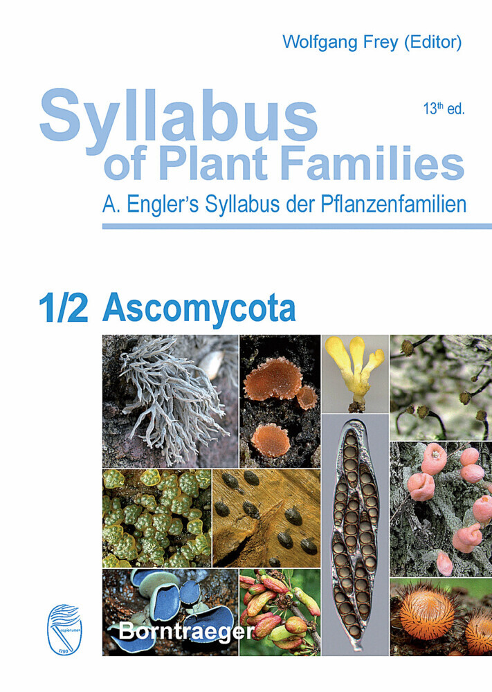 Ascomycota