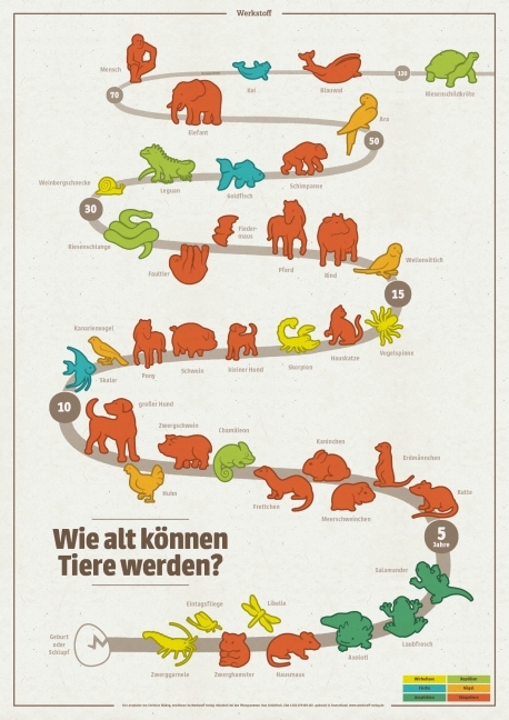 Wie alt können Tiere werden (Poster)