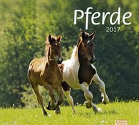 Pferde Bildkalender 2017