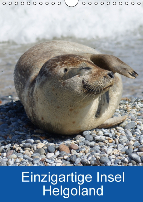 Einzigartige Insel Helgoland (Wandkalender 2017 DIN A4 hoch)