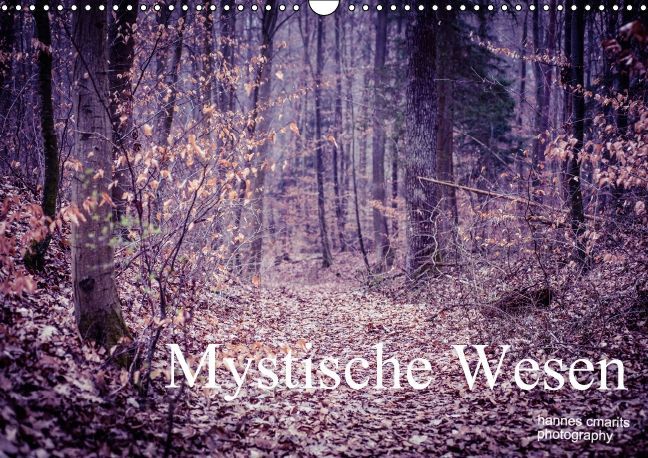 Mystische Wesen (Wandkalender 2017 DIN A3 quer)