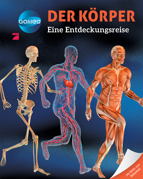Galileo Wissen: Der Körper