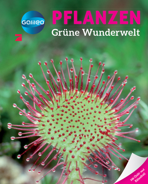 Galileo Wissen: Pflanzen