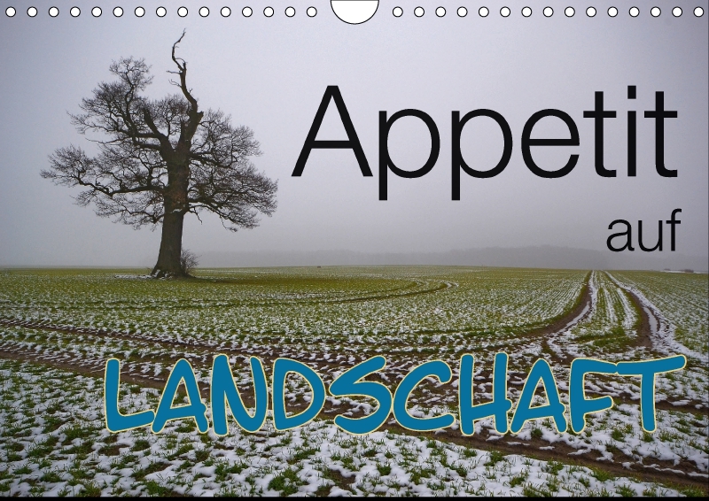 Appetit auf Landschaft (Wandkalender 2017 DIN A4 quer)