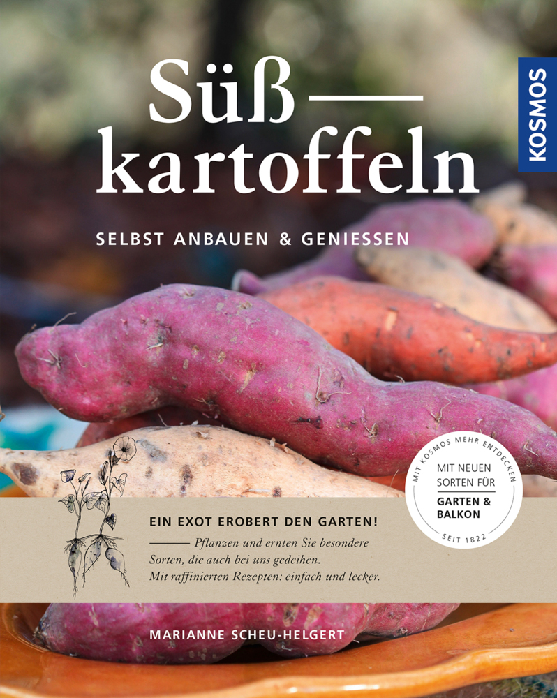 Süßkartoffeln
