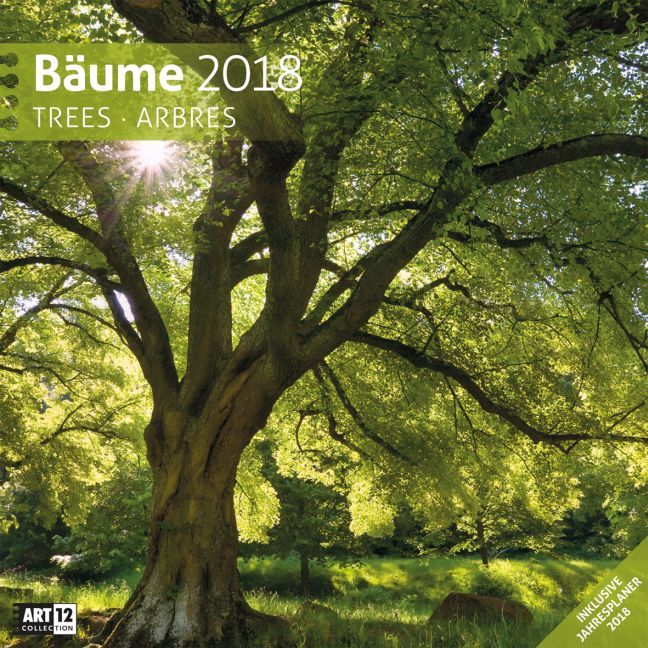 Bäume 2018
