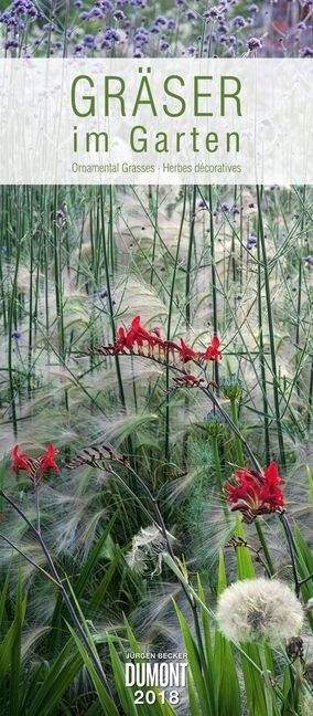 Gräser im Garten 2018