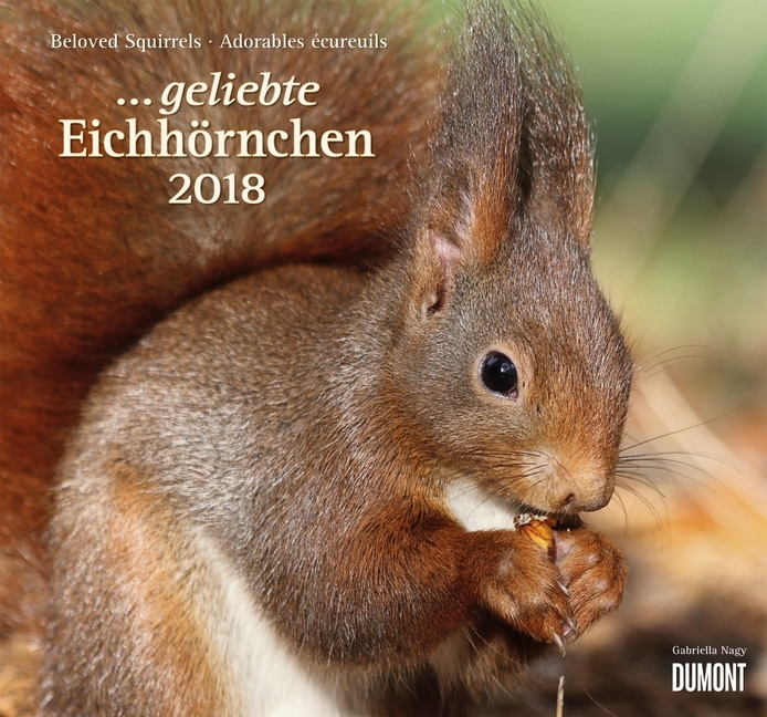 ... geliebte Eichhörnchen 2018