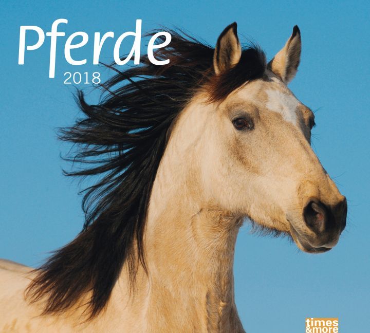Pferde 2018