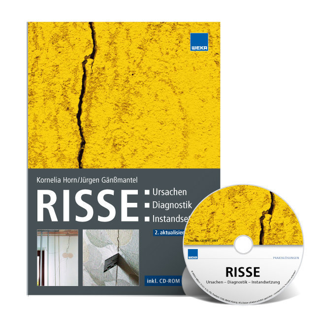 Risse: Ursachen - Diagnostik - Instandsetzung, m. CD-ROM