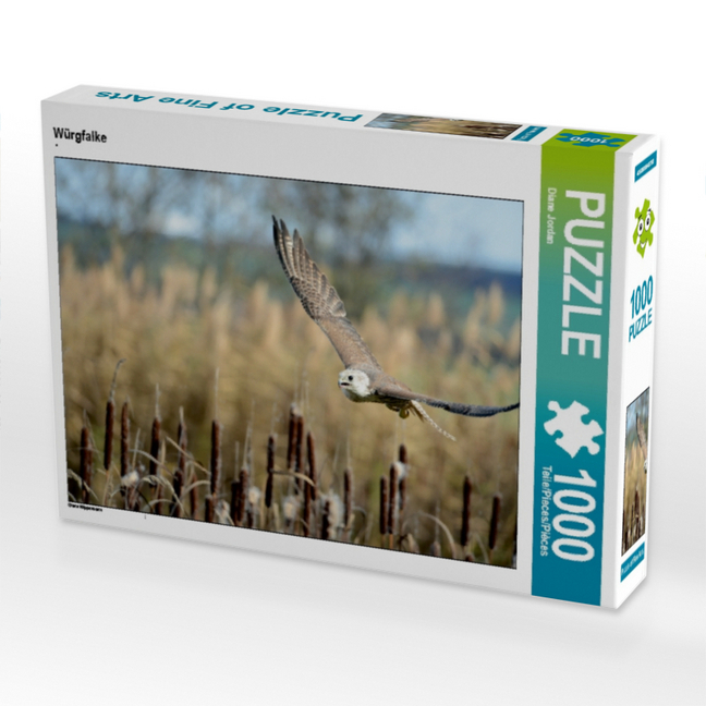 CALVENDO Puzzle Würgfalke 1000 Teile Lege-Größe 64 x 48 cm Foto-Puzzle Bild von Diane Jordan
