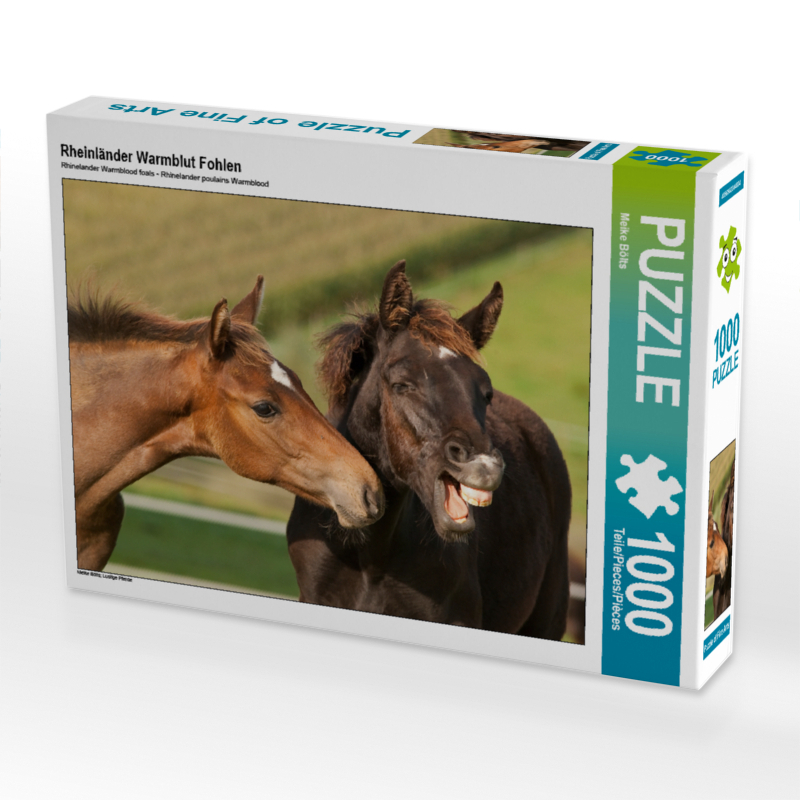CALVENDO Puzzle Rheinländer Warmblut Fohlen 1000 Teile Lege-Größe 64 x 48 cm Foto-Puzzle Bild von Meike Bölts