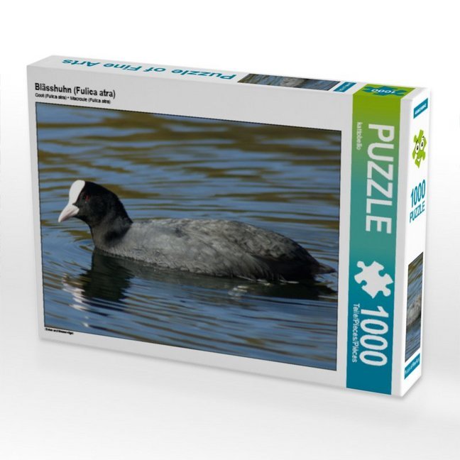 CALVENDO Puzzle Blässhuhn (Fulica atra) 1000 Teile Lege-Größe 64 x 48 cm Foto-Puzzle Bild von kattobello
