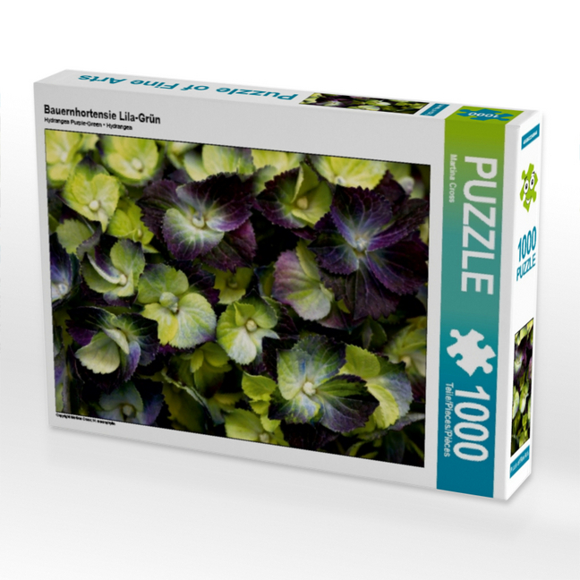 Bauernhortensie Lila-Grün (Puzzle)