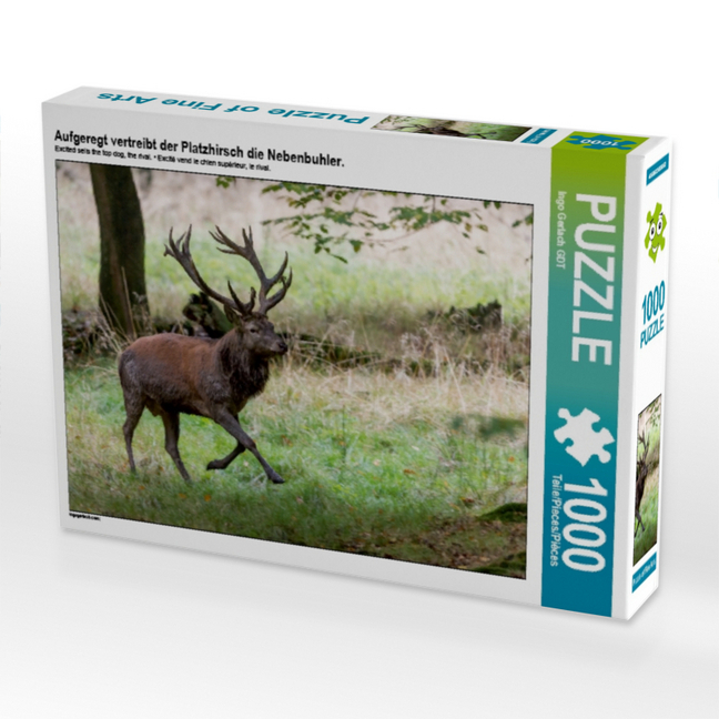 Aufgeregt vertreibt der Platzhirsch die Nebenbuhler. (Puzzle)