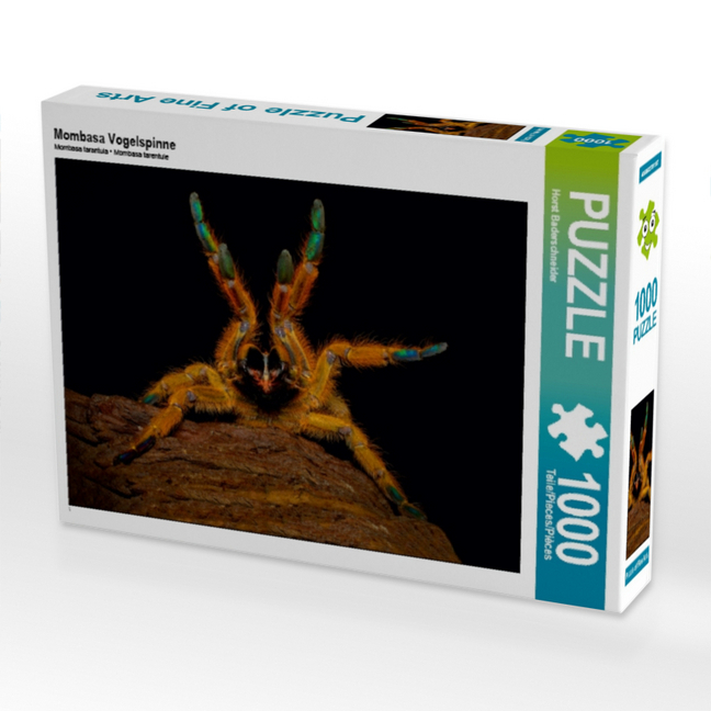 Mombasa Vogelspinne (Puzzle)