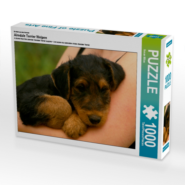 Ein Motiv aus dem Kalender Airedale Terrier Welpen (Puzzle)