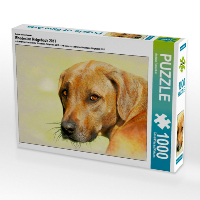Ein Motiv aus dem Kalender Rhodesian Ridgeback 2017 (Puzzle)