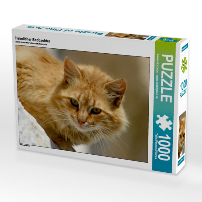 Heimlicher Beobachter (Puzzle)