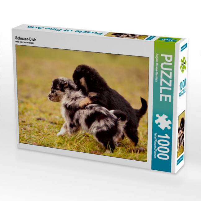 Schnapp Dich (Puzzle)