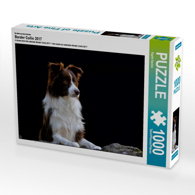 Ein Motiv aus dem Kalender Border Collie 2017 (Puzzle)