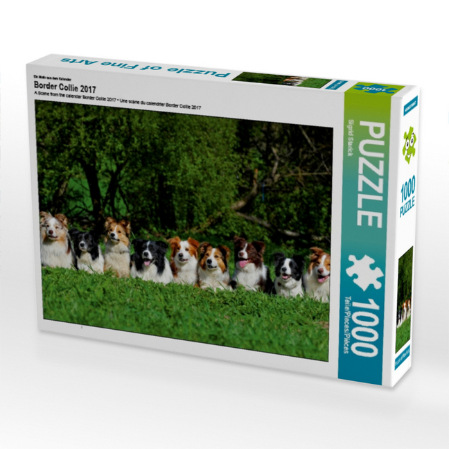 Ein Motiv aus dem Kalender Border Collie 2017 (Puzzle)