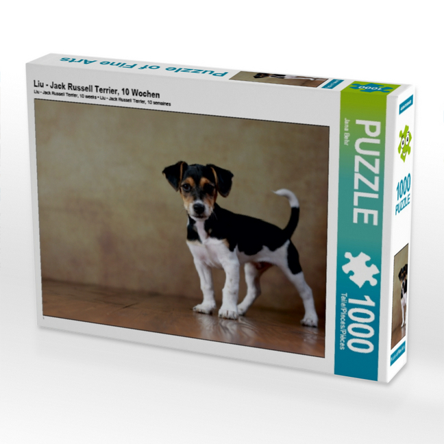 Liu - Jack Russell Terrier, 10 Wochen (Puzzle)
