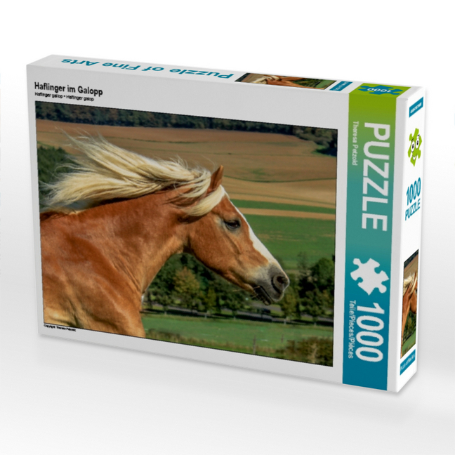 Haflinger im Galopp (Puzzle)