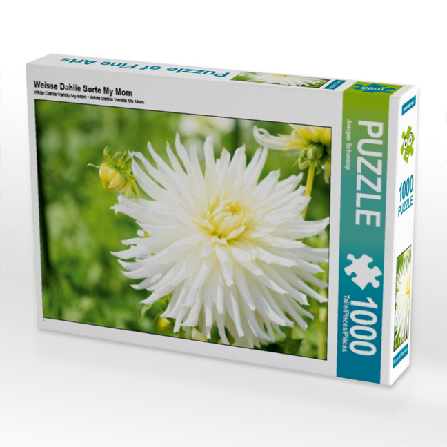 Weisse Dahlie Sorte My Mom (Puzzle)