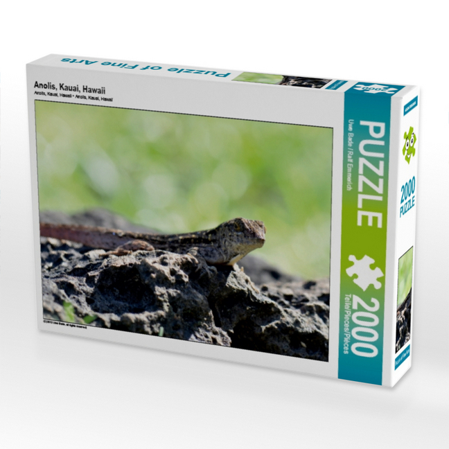 Anolis, Kauai, Hawaii (Puzzle)