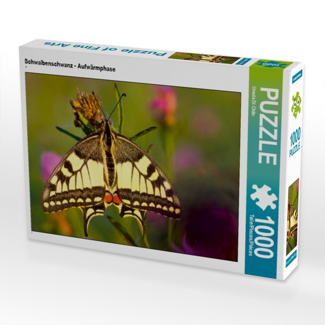 CALVENDO Puzzle Schwalbenschwanz - Aufwärmphase 1000 Teile Lege-Größe 64 x 48 cm Foto-Puzzle Bild von Ursula Di Chito