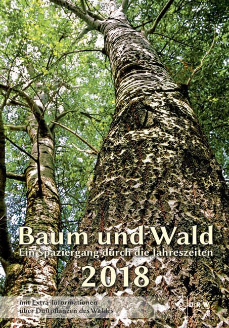 Baum und Wald 2018