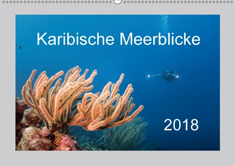 Karibische Meerblicke (Wandkalender 2018 DIN A2 quer)