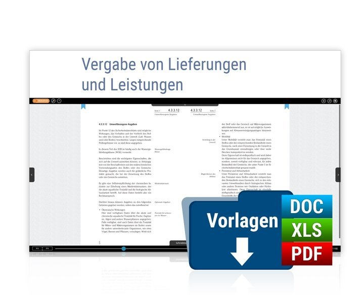 Vergabe von Lieferungen und Leistungen, Online-Ausgabe