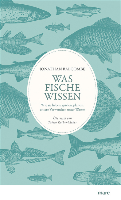 Was Fische wissen