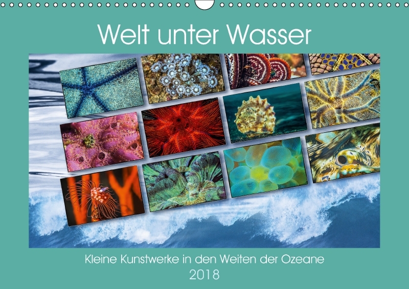 Kleine Kunstwerke in den Weiten der Ozeane (Wandkalender 2018 DIN A3 quer)